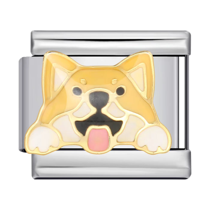 Pes - Shiba Inu