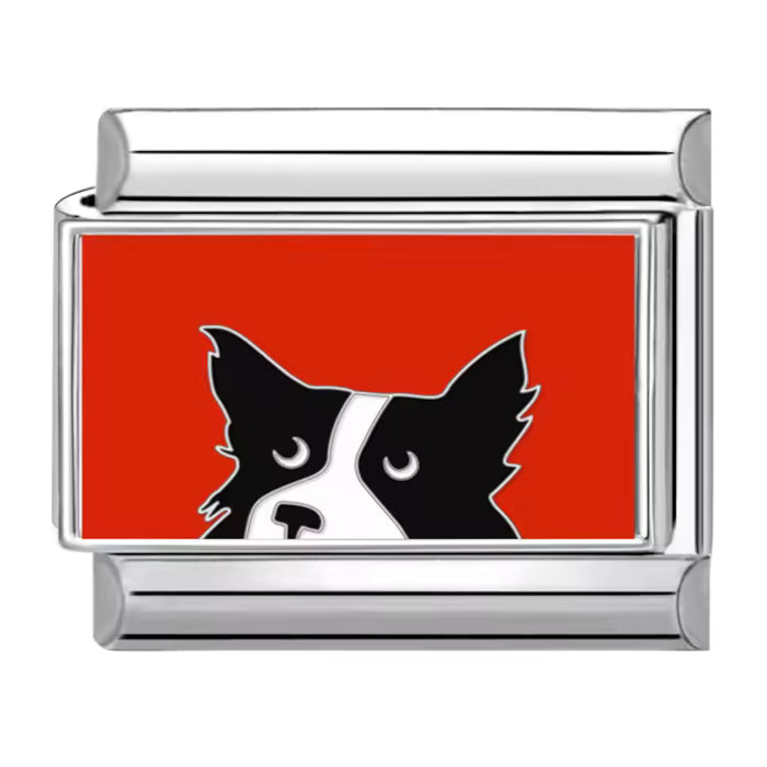 Pes - červené pozadí