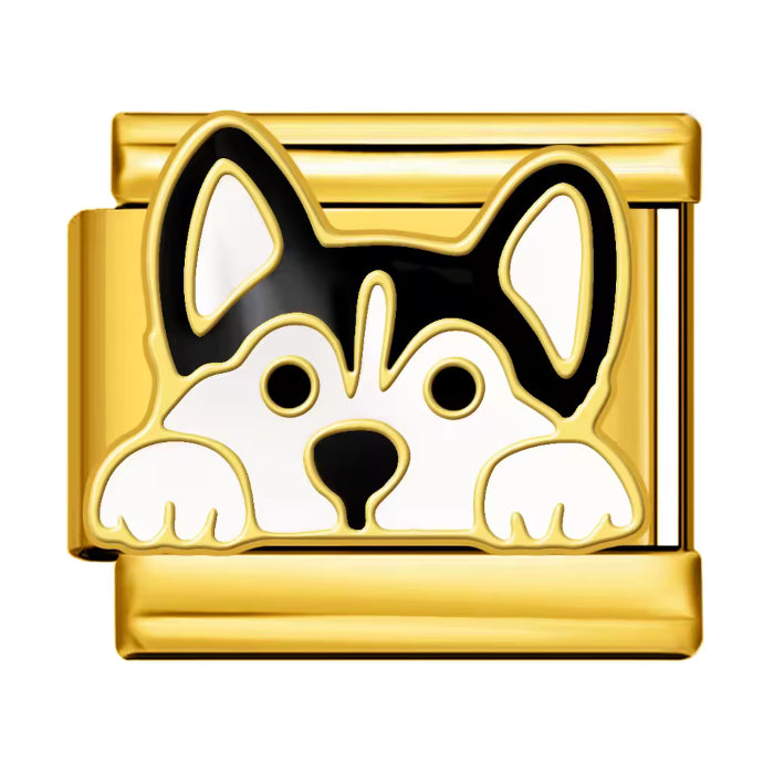 Pes - zlatá